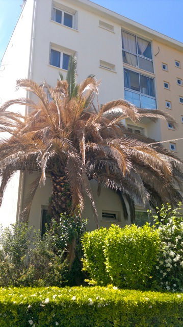 Hospedagem Em Casa De Família Castelnau-le-Lez 70491