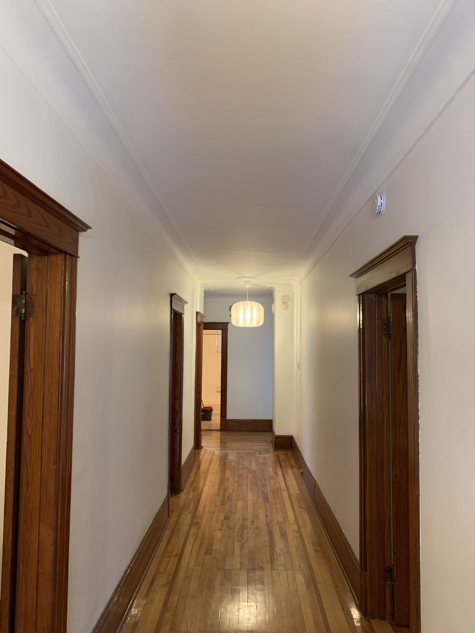 Coliving Montréal 463817