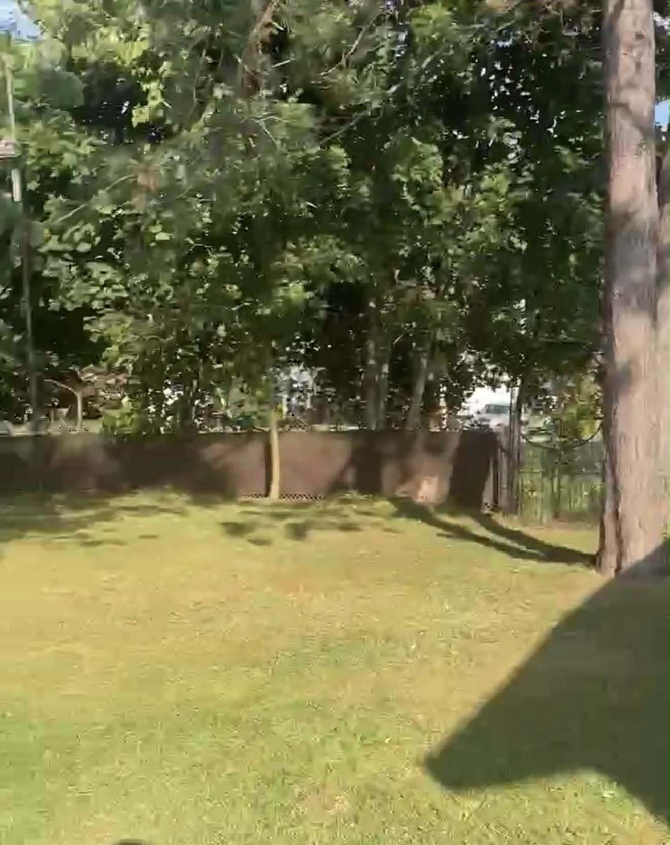 Colocação Lévis 659856