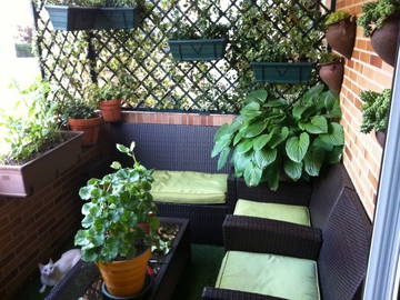 Roomlala | Quarto para alugar em Majadahonda
