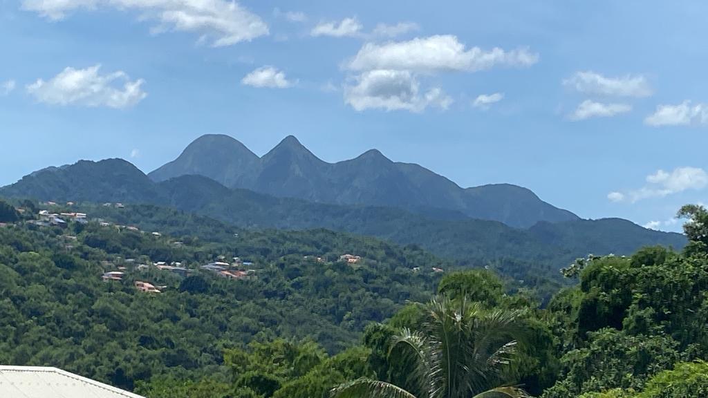 Colocação Schoelcher 475271