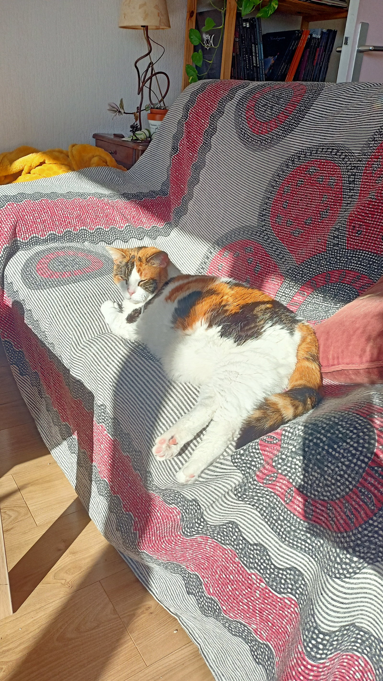 Hospedagem Em Casa De Família Toulouse 659369