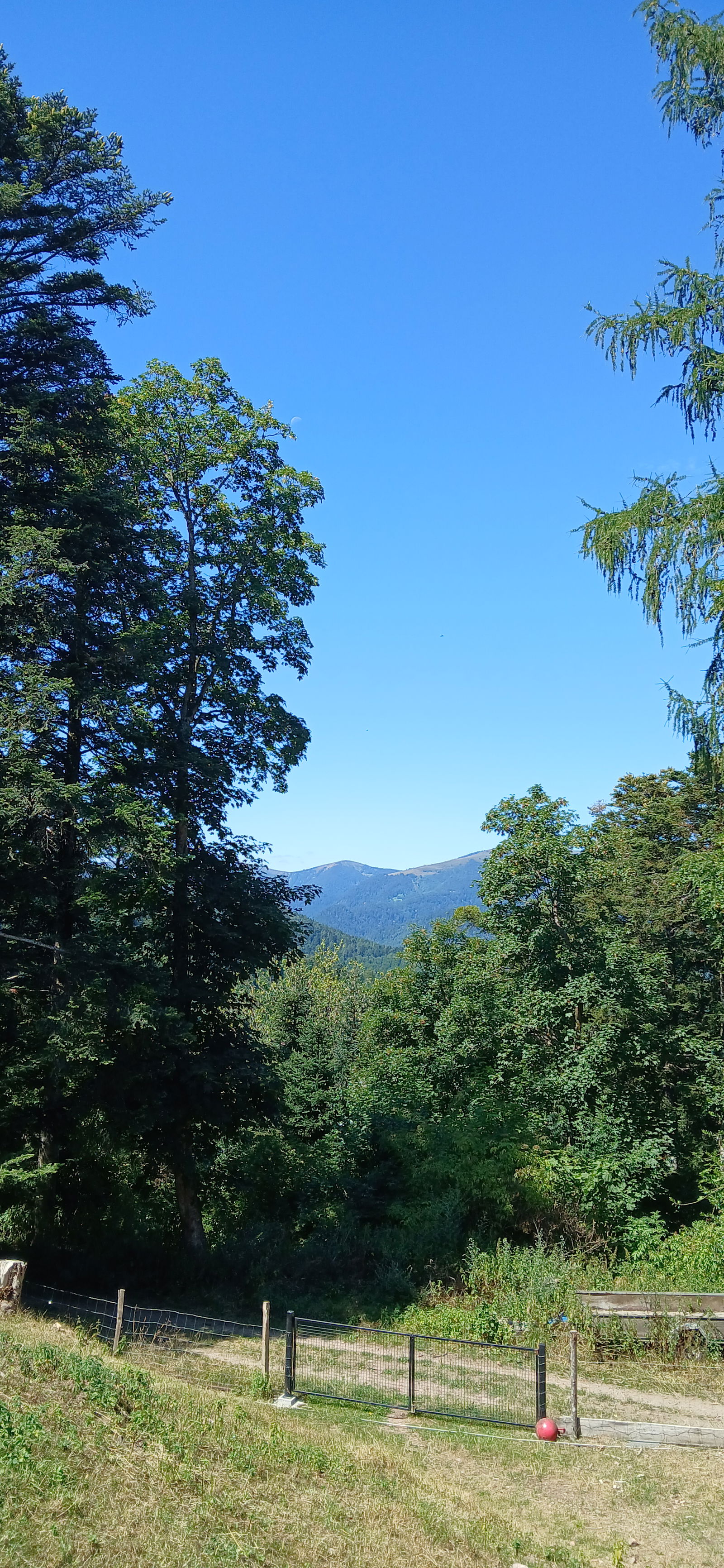 Hospedagem Em Casa De Família Breitenbach-Haut-Rhin 473548