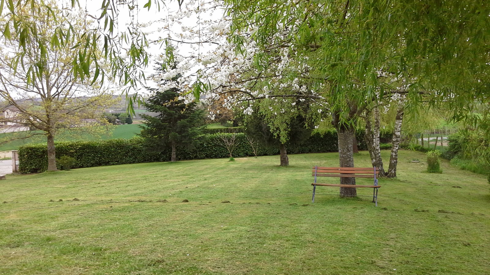 Estúdio Independente Thodure 101249