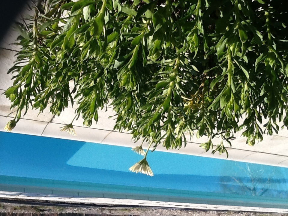 Quartos De Hóspedes Lully 88778