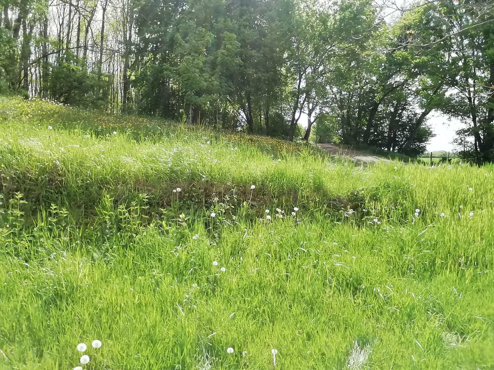 Hospedagem Em Casa De Família Garigny 248529