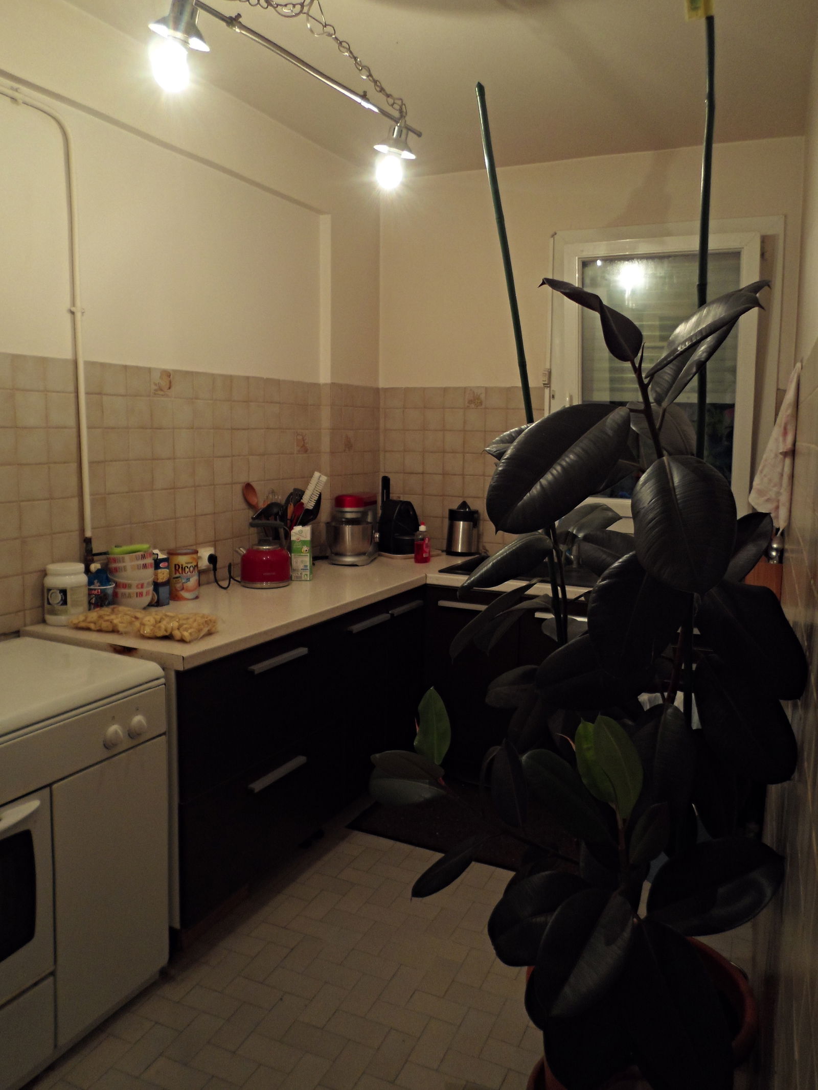 Hospedagem Em Casa De Família Saint-Laurent-du-Var 78399