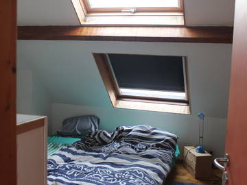Roomlala | Quarto para alugar - The Green Room