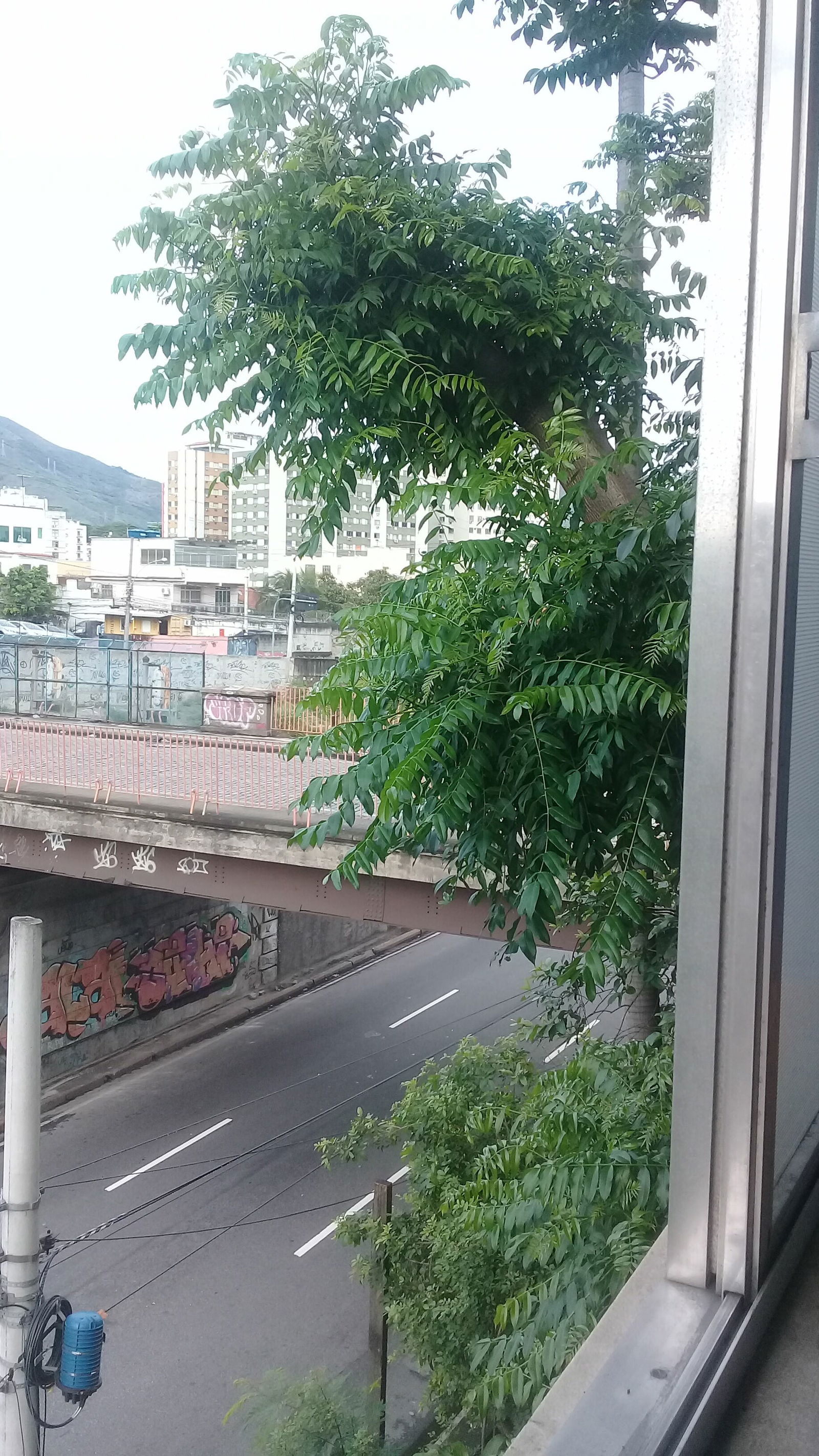 Independent Studio Rio de Janeiro 214606
