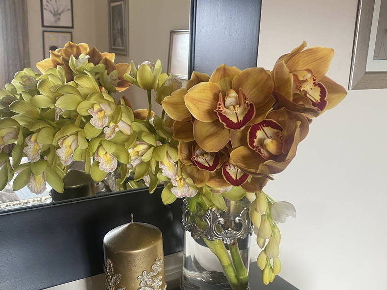 Homestay Amarante 229254-5