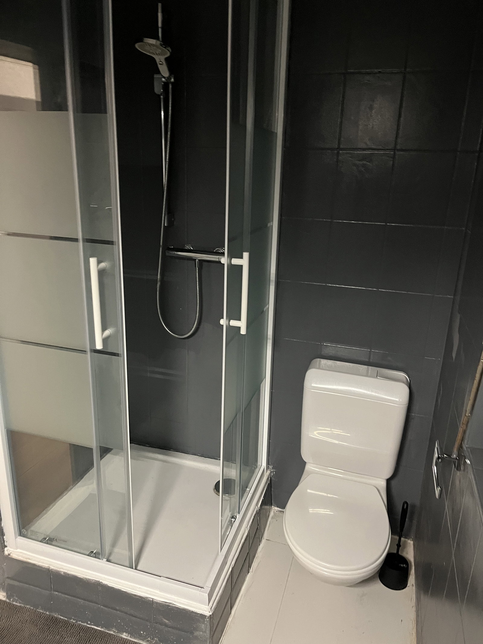 Alojamento Partilhado Leytron 479274