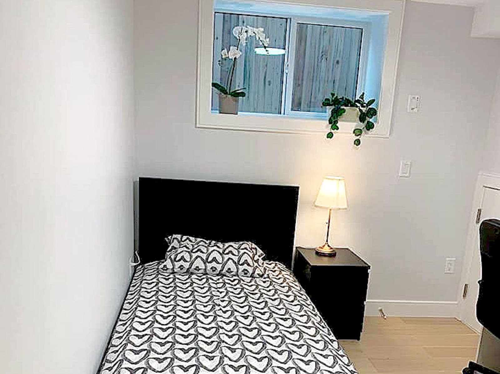 Coliving Vancouver 670507