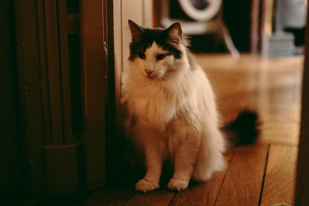 Hospedagem Em Casa De Família Lyon 660410