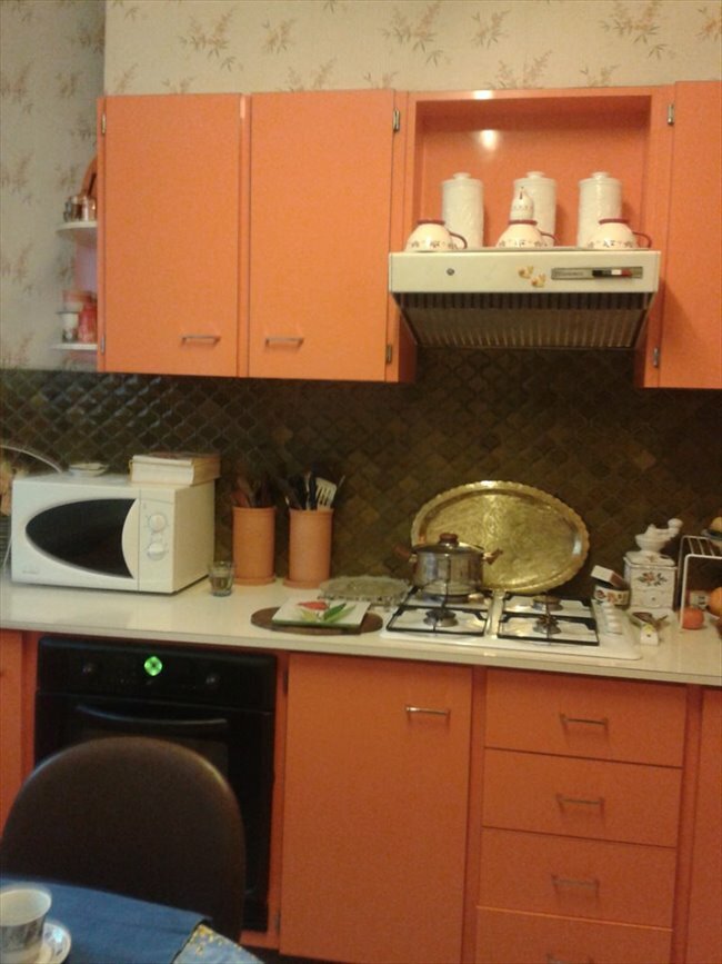 Colocação Orléans 186481