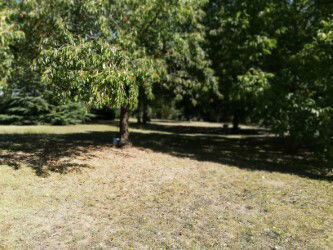 Hospedagem Em Casa De Família Chaveignes 225669