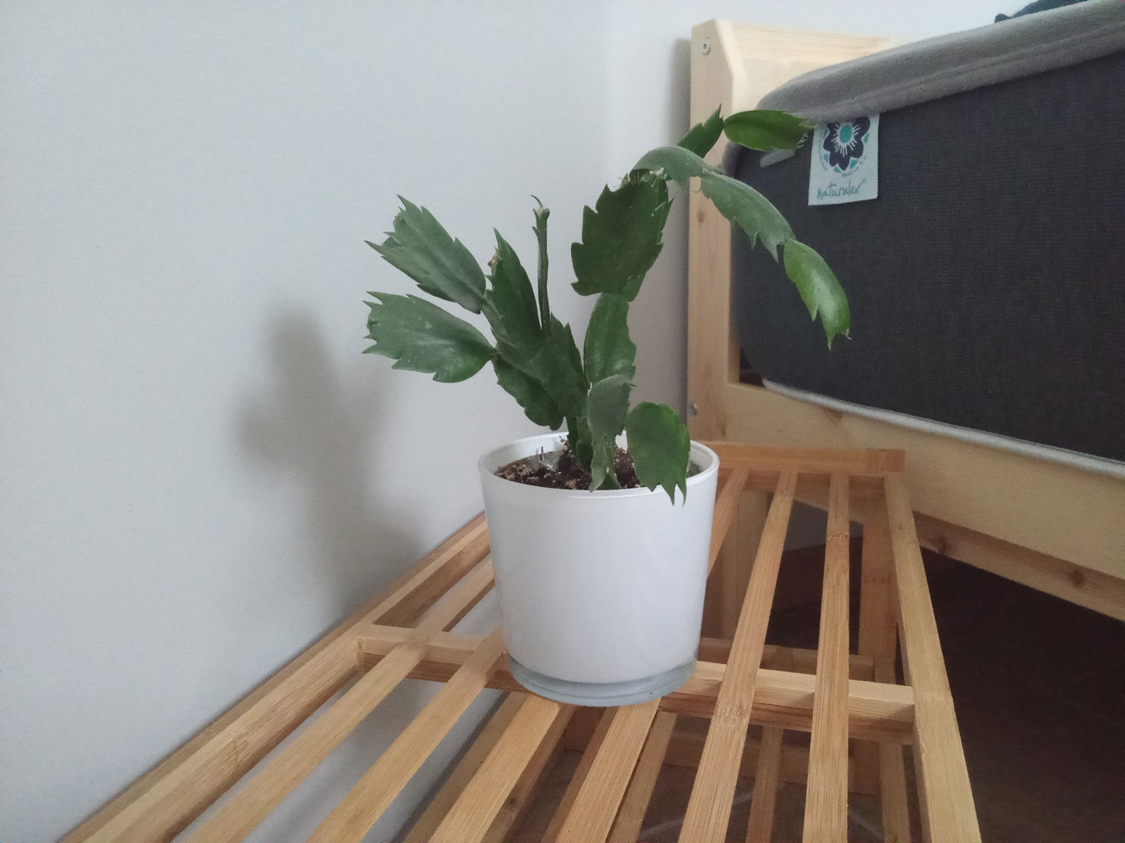 Quartos De Hóspedes Beaussais-sur-Mer 478987