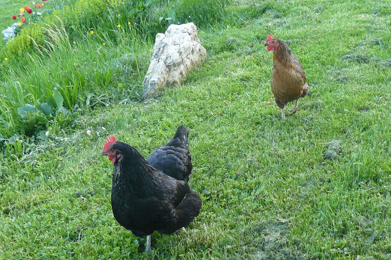Hospedagem Em Casa De Família Autrans 59821