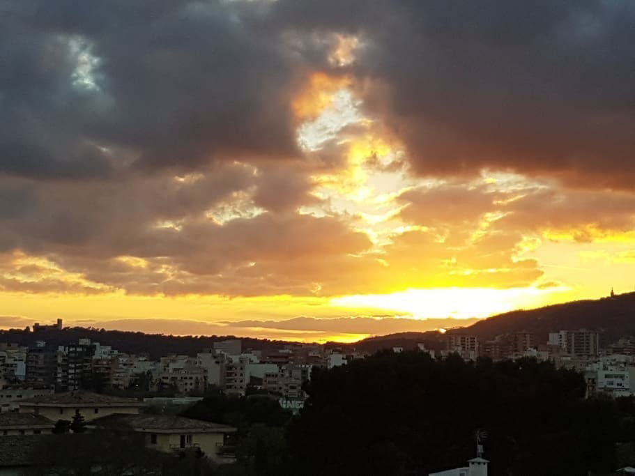 Hospedagem Em Casa De Família Palma 157302