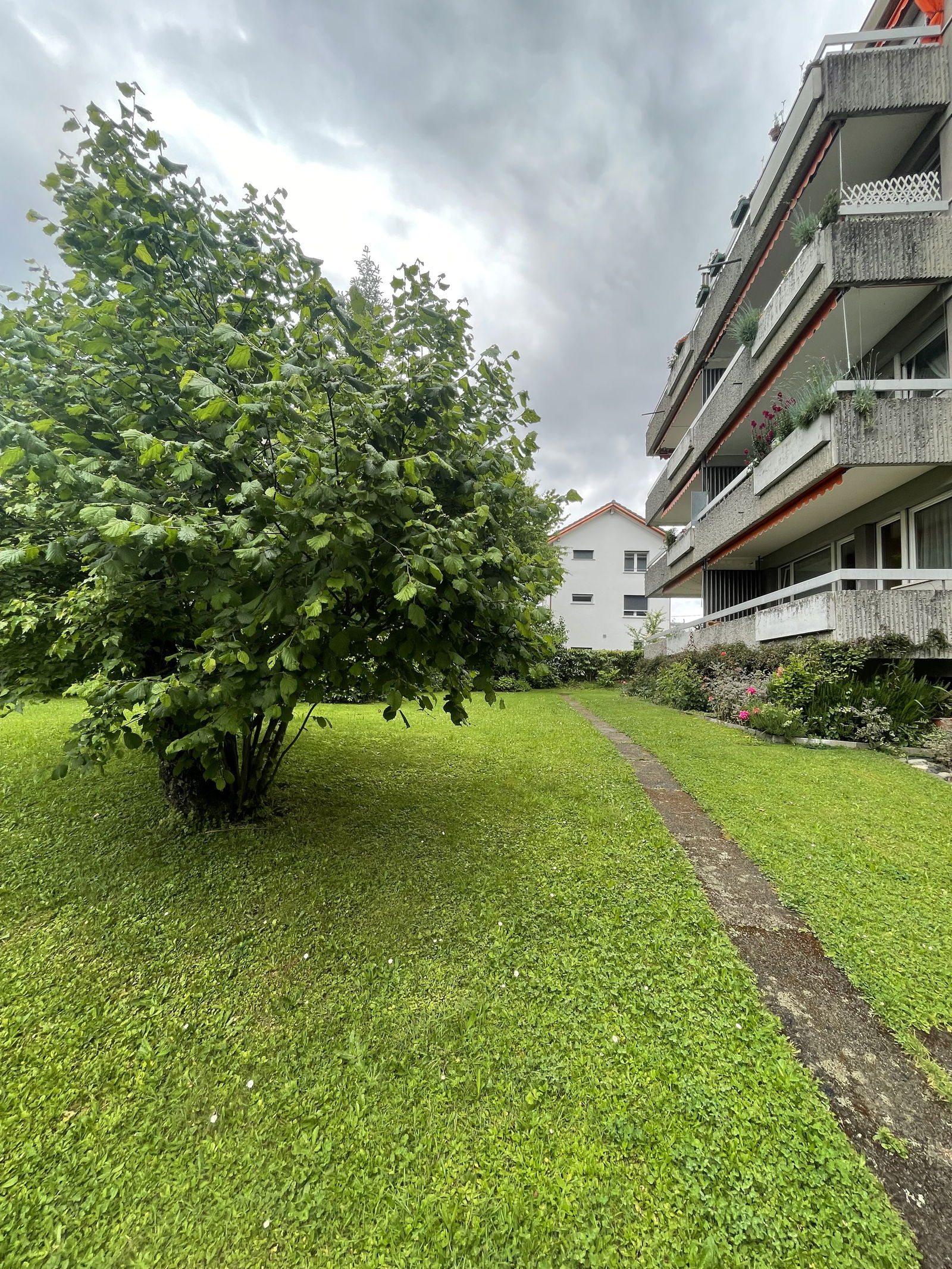 Colocação Lausanne 536662