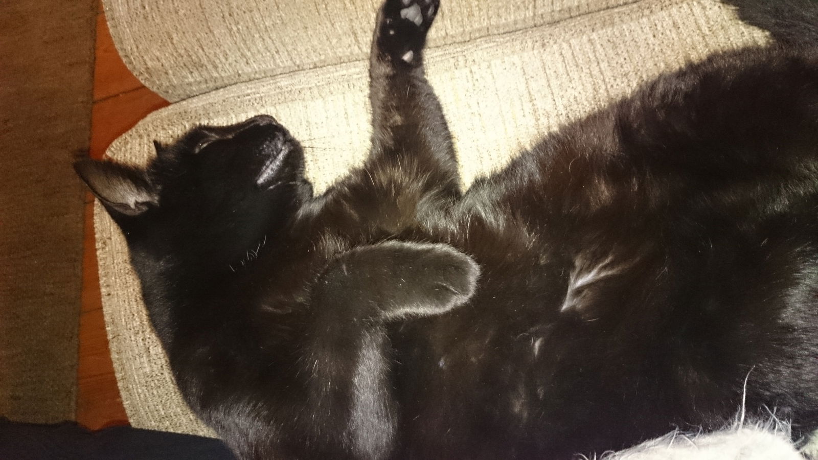 Hospedagem Em Casa De Família Plymouth 101003