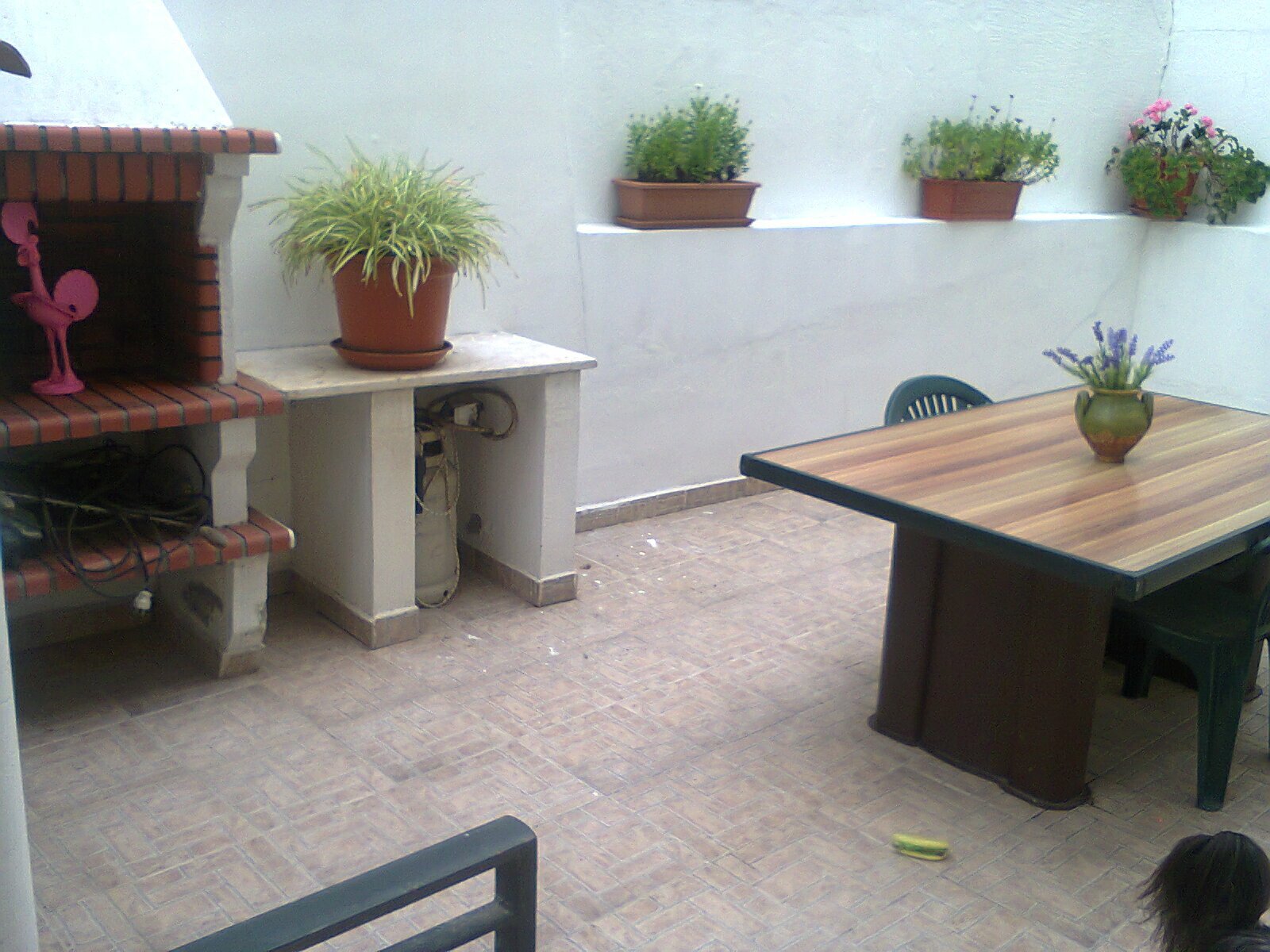 Quedarse En Casa Torres Novas 161922