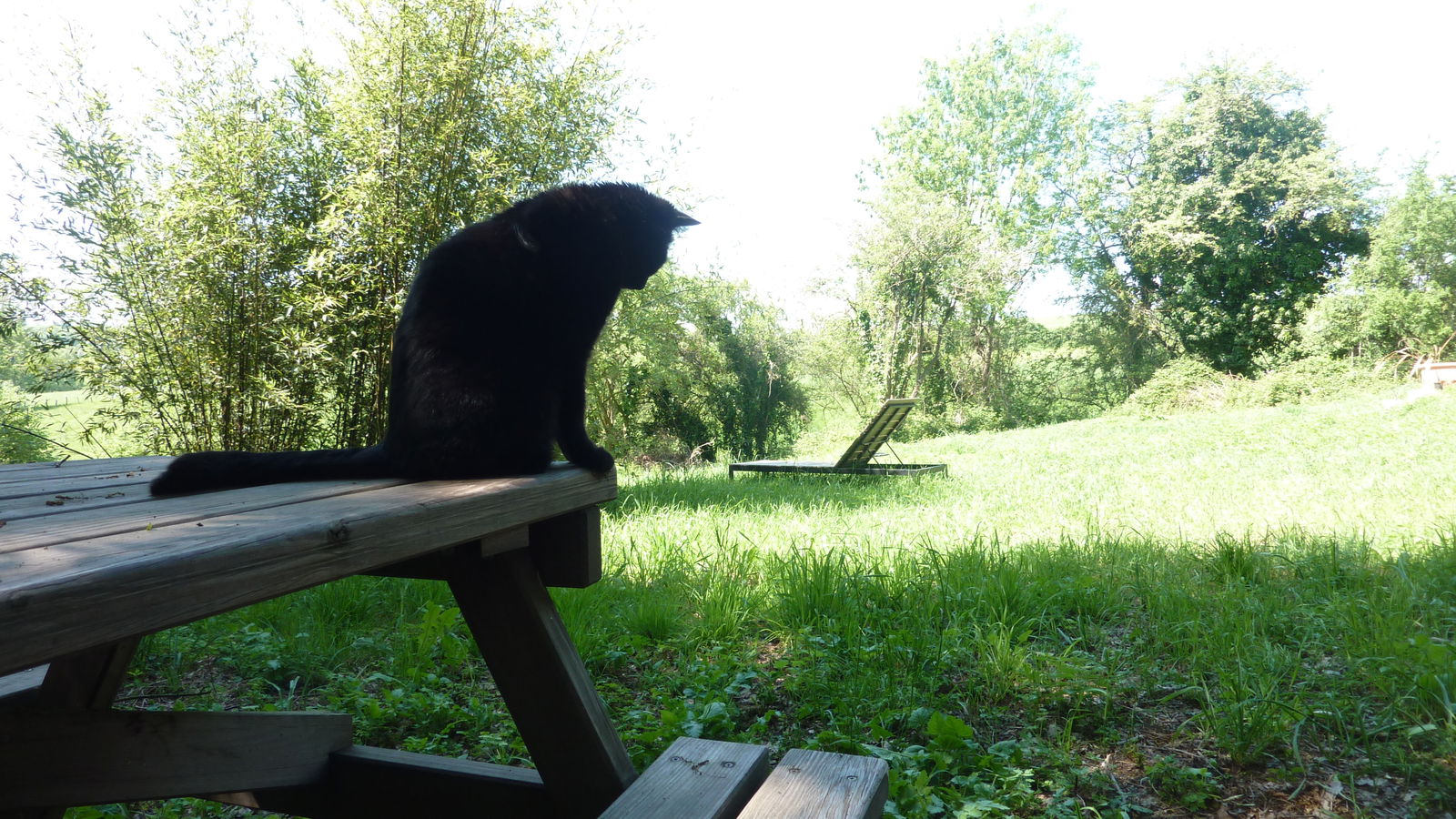 Quedarse En Casa Saint-André-de-Najac 204568