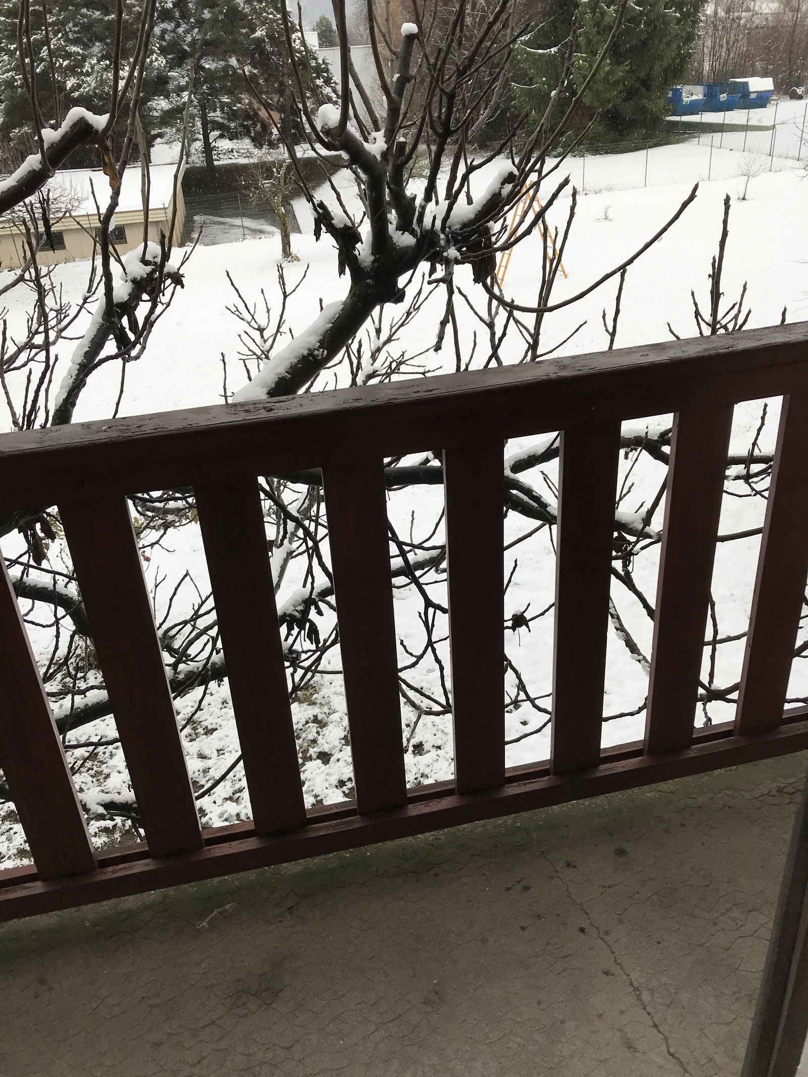 Quedarse En Casa Albertville 264076