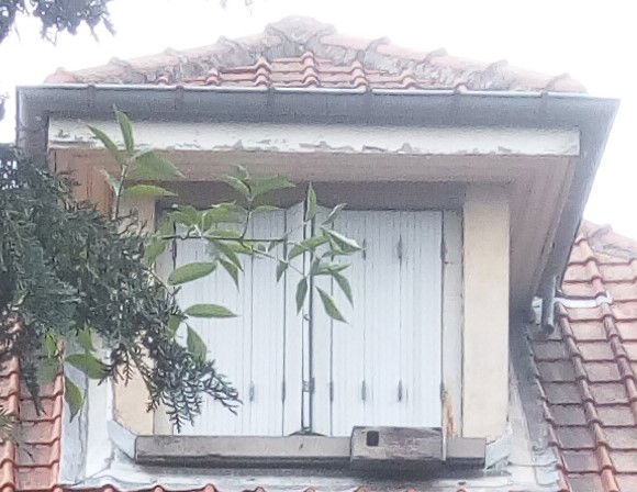 Quedarse En Casa Dombasle-sur-Meurthe 266076