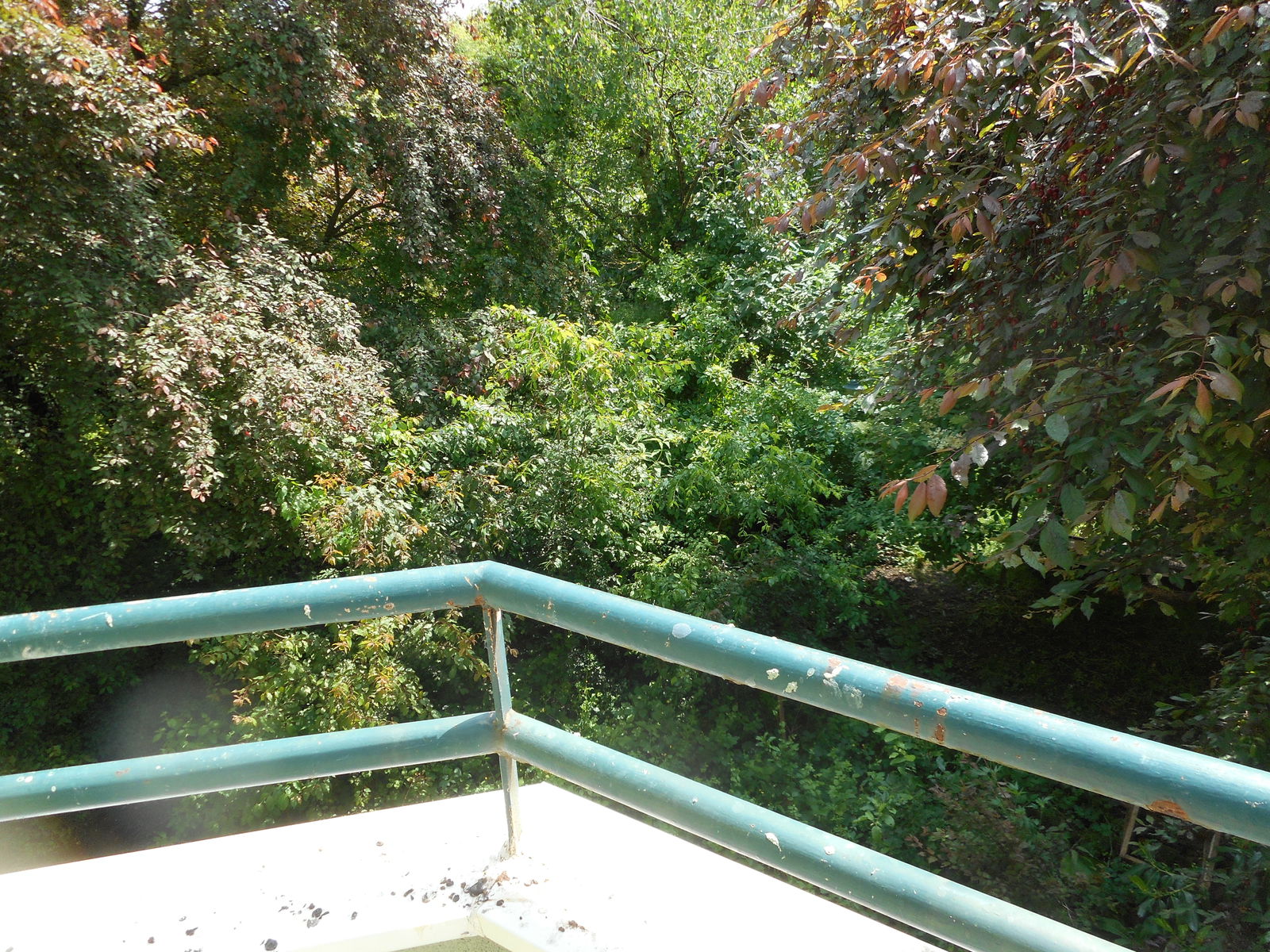 Quedarse En Casa Dombasle-sur-Meurthe 266516