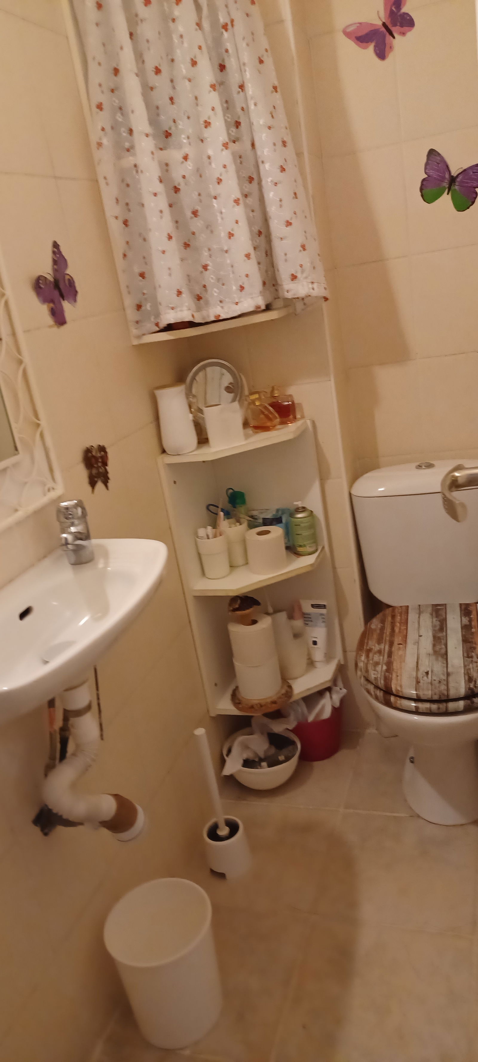 Quedarse En Casa Bastia 279001