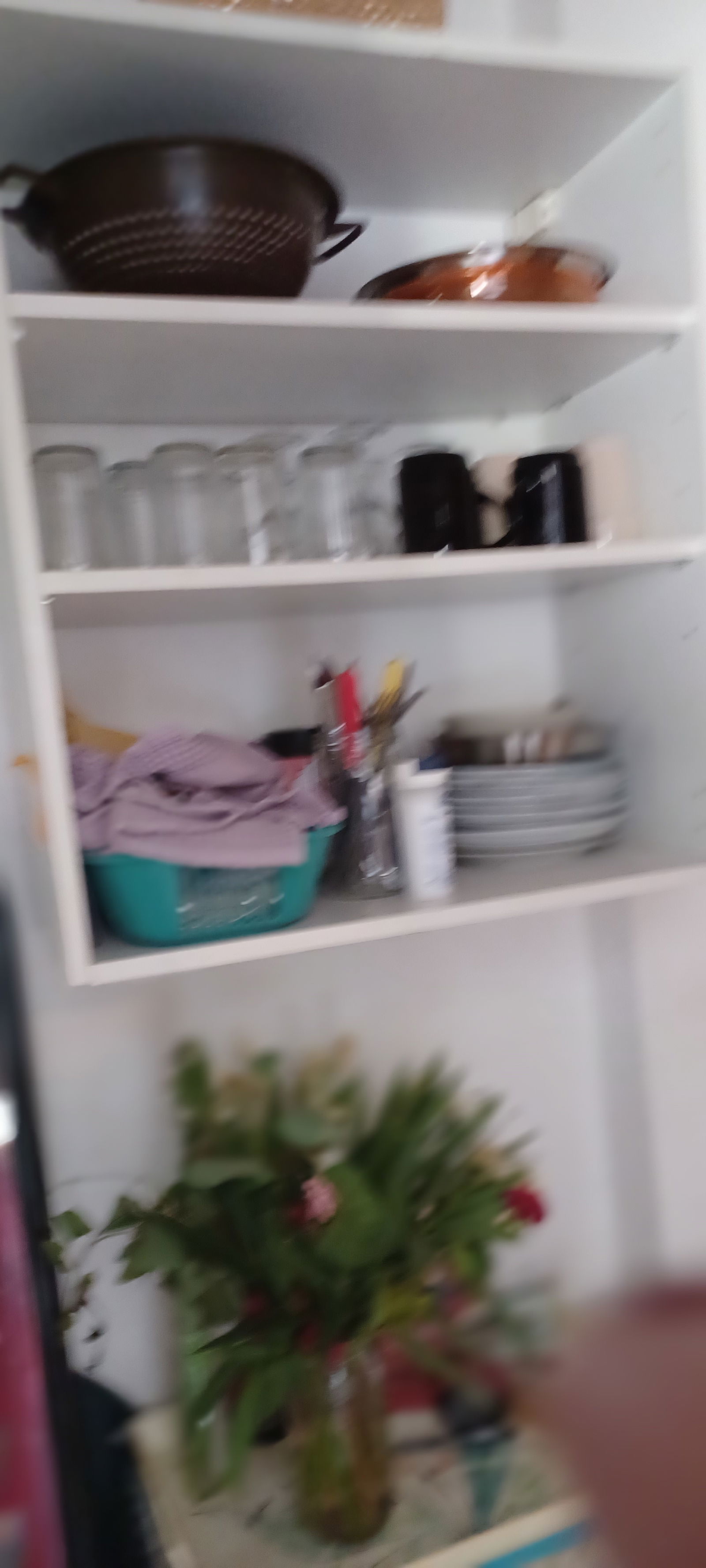 Quedarse En Casa Bastia 279001