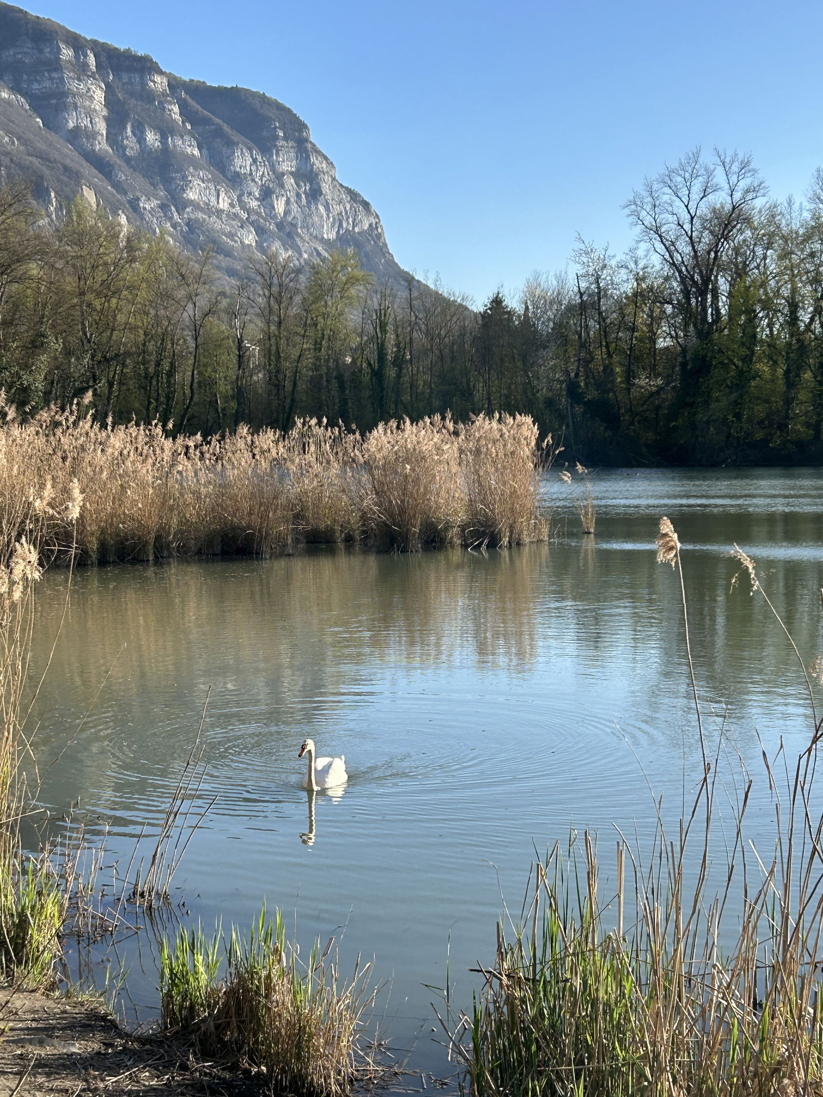 Homestay Etrembières 394455