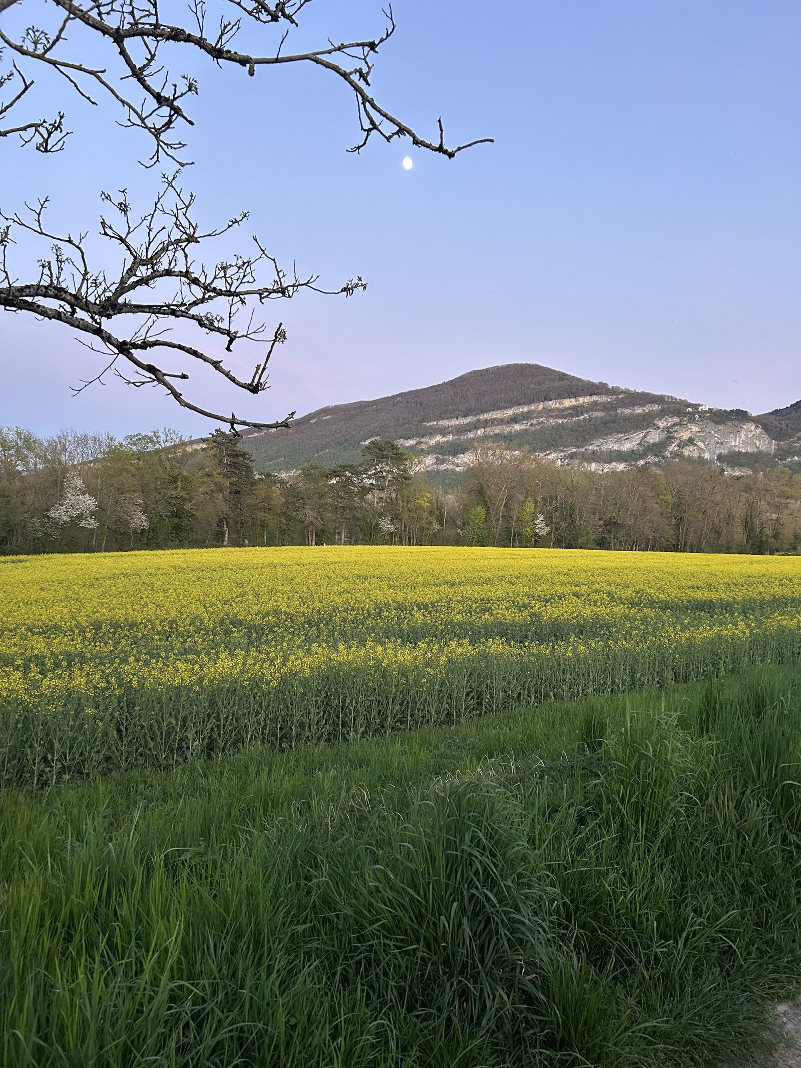 Homestay Etrembières 394455