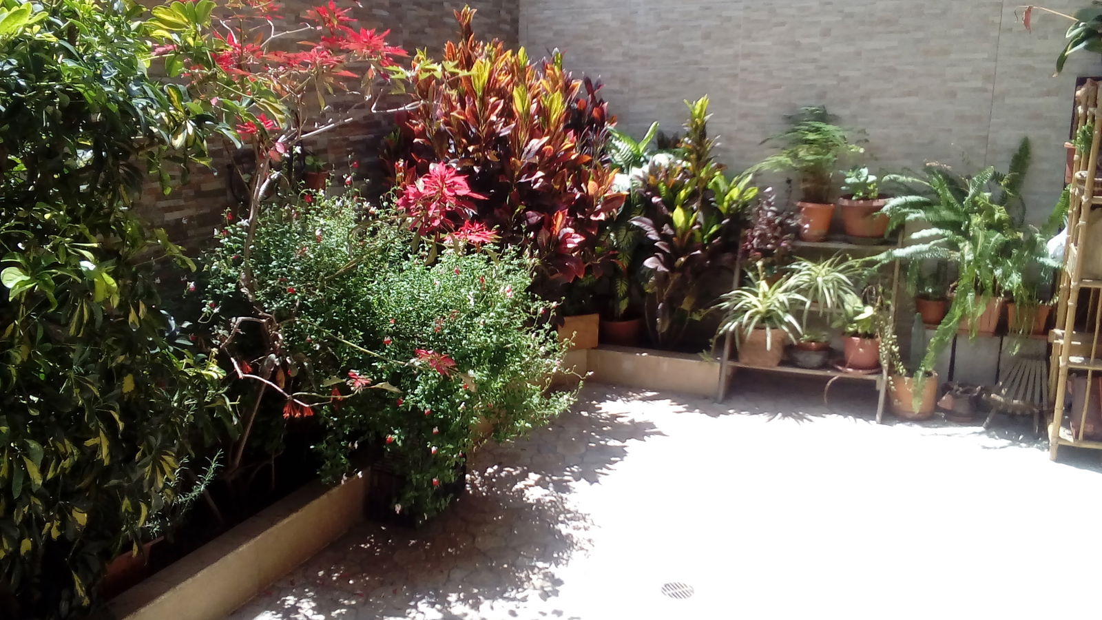 Homestay Pichincha 160299