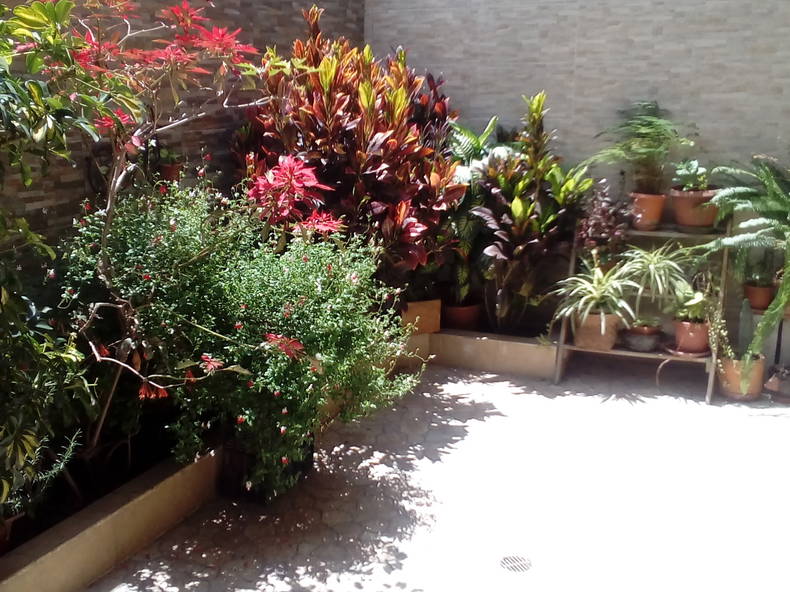 Quedarse En Casa Pichincha 160299-3