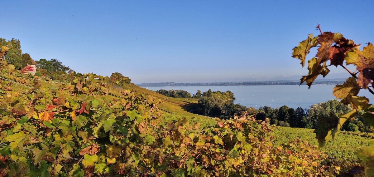 Homestay La Grande Béroche 675792