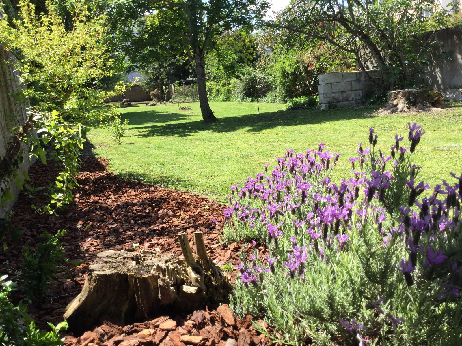 Homestay Châtellerault 141694