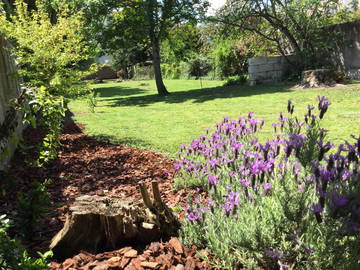 Chambre Chez L'habitant Châtellerault 141694-8