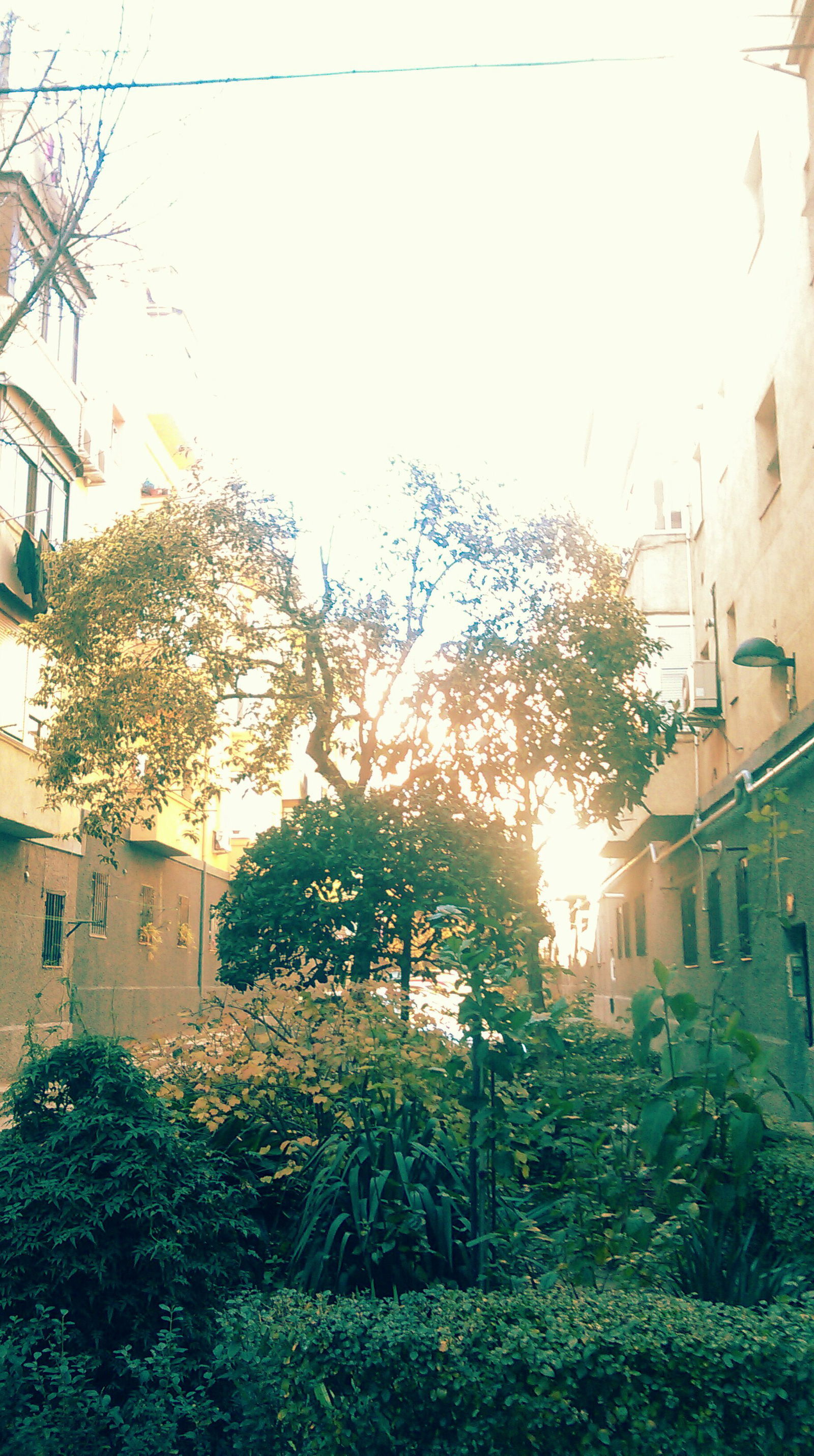 Colocation Madrid 93091