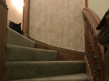 Famiglia Dundee 518927-3