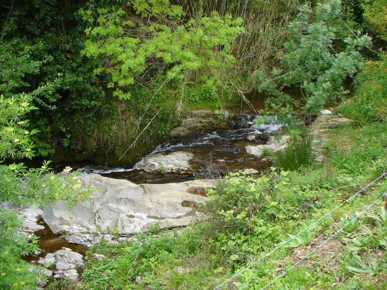 Chambres D'hôtes Grimaud 98057-3