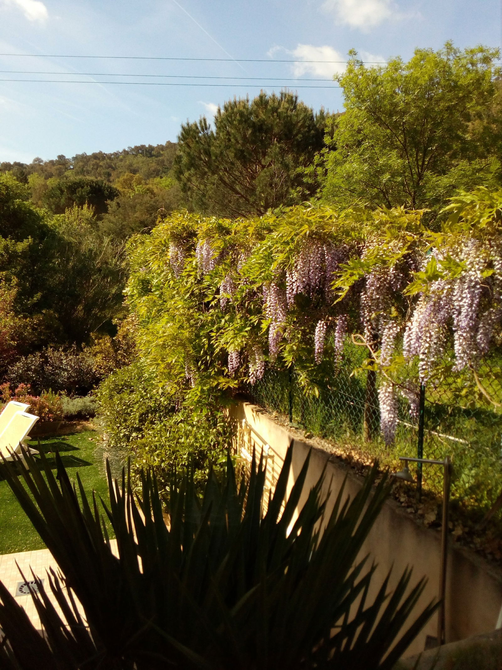 Bed And Breakfast Grimaud 98057