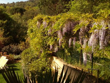 Bed And Breakfast Grimaud 98057-9