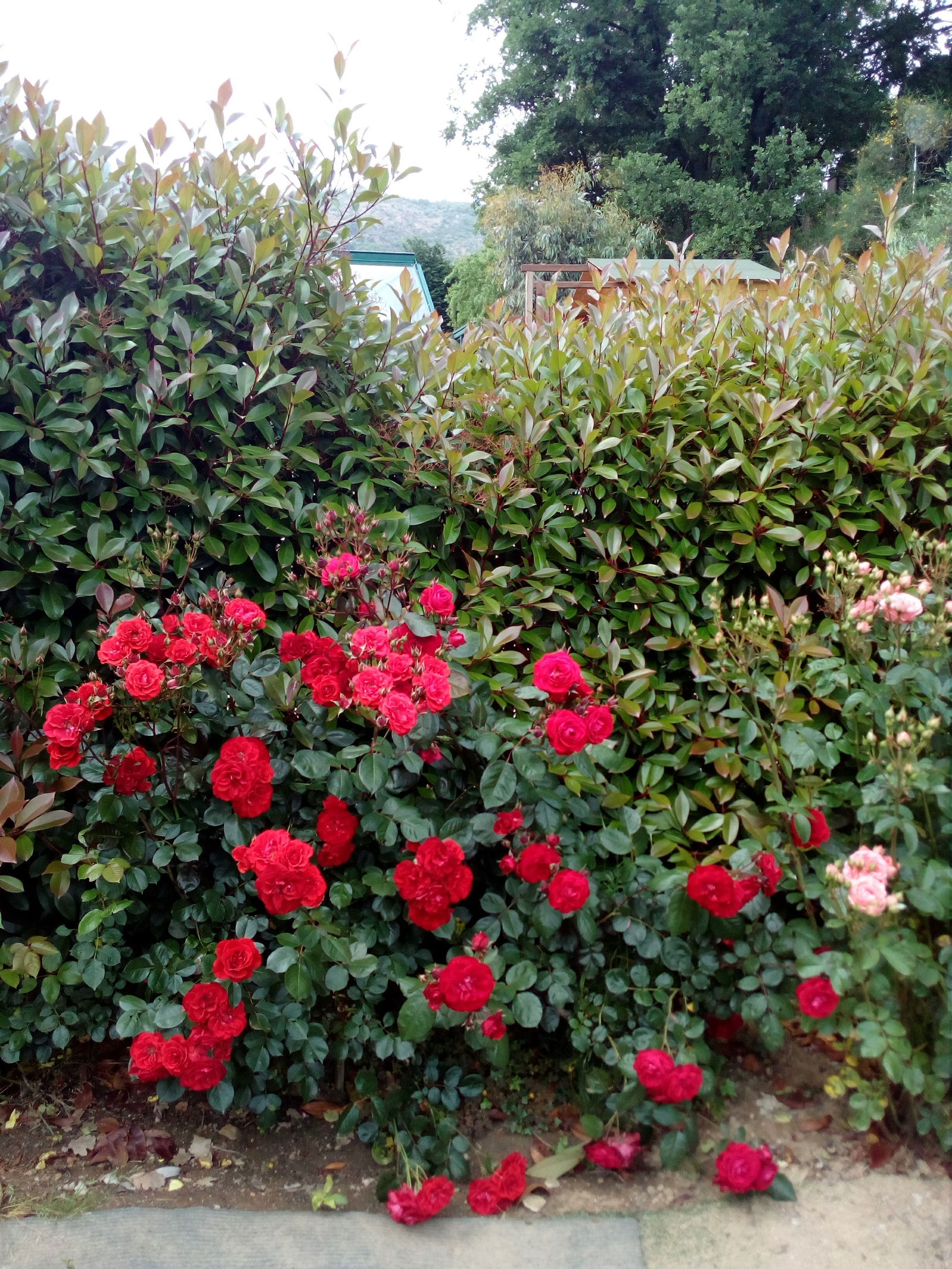 Bed And Breakfast Grimaud 98057