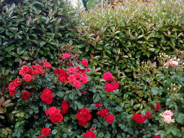 Bed And Breakfast Grimaud 98057-10