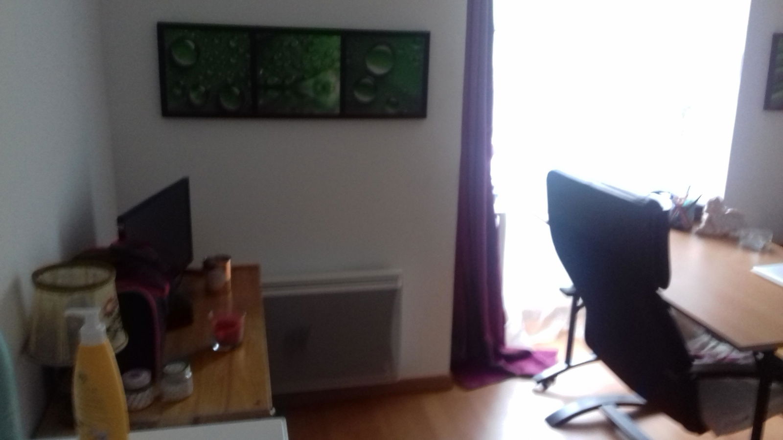 Homestay Orléans 165296