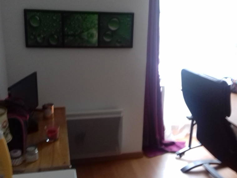 Homestay Orléans 165296