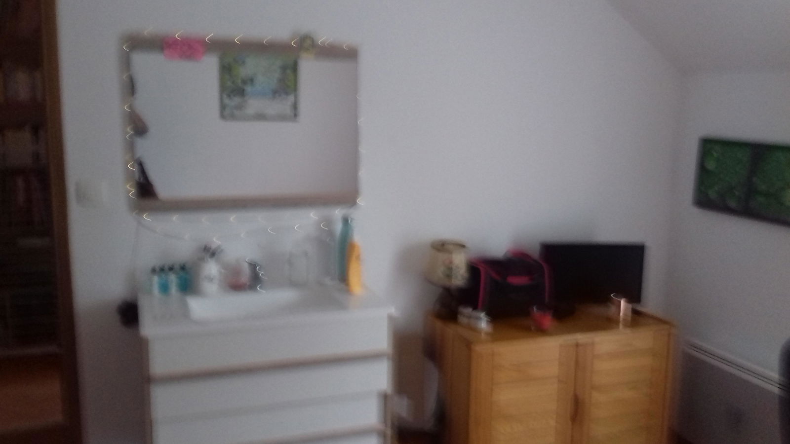 Homestay Orléans 165296