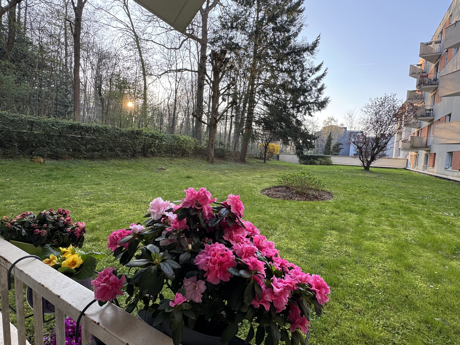 Homestay Versailles 662911