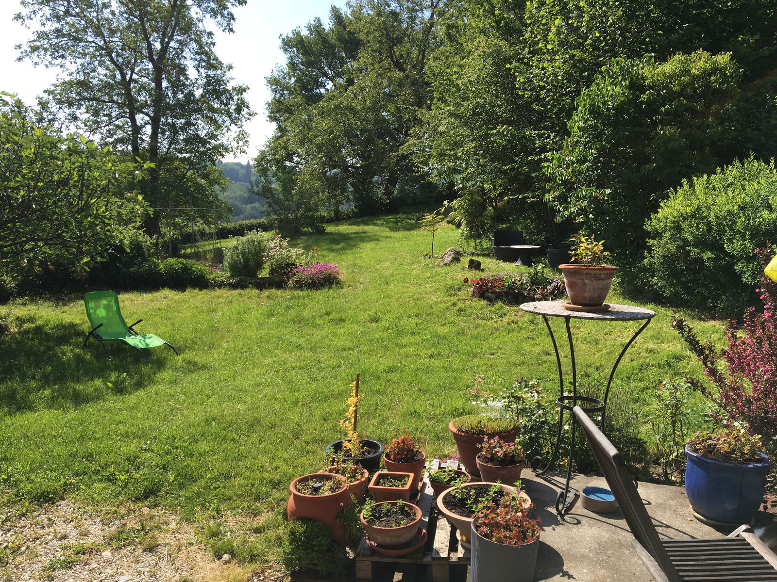 Homestay Thusy 223884